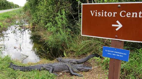 Shark Valley at Everglades National Park: Remarkable bike path and wildlife