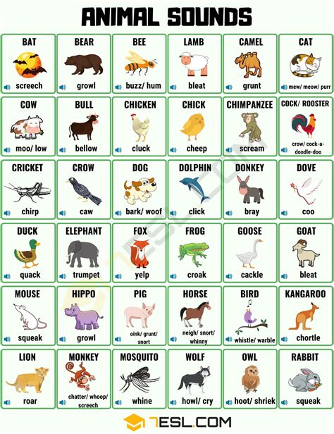 List of Animal Sounds in English with Pictures • 7ESL