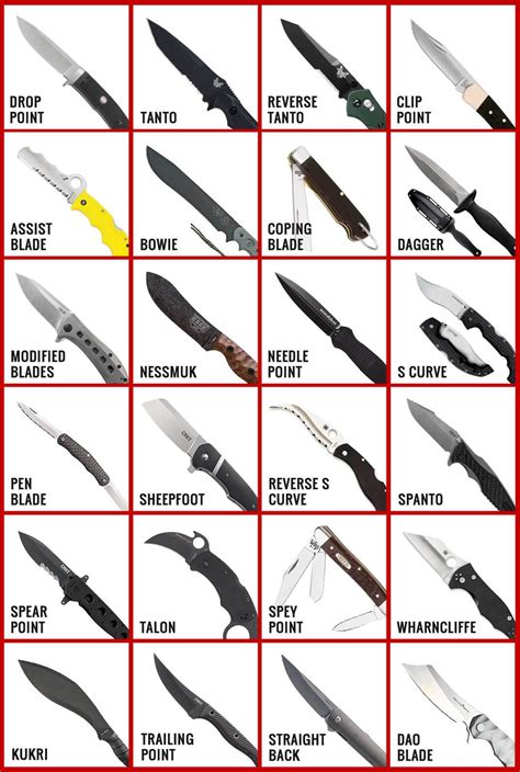 26 Knife Blade Types in 2020 (with Chart & Shape Explanations)