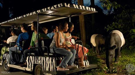 Singapore Night Safari Tickets - a multi-sensory wildlife adventure - Klook