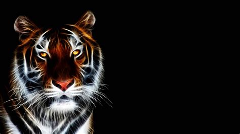 Anime Tiger Wallpapers - Top Free Anime Tiger Backgrounds - WallpaperAccess