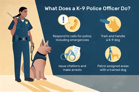 What Is A Police Dogs Job