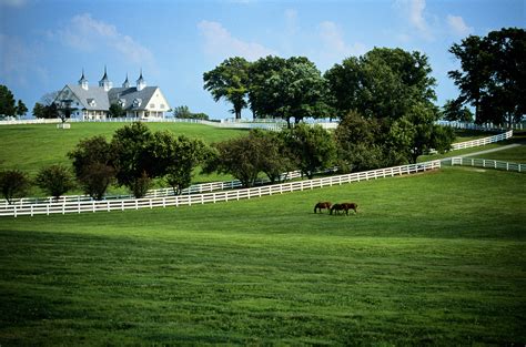 Picture Perfect Custom Framing Lexington Ky at Janet Tack blog