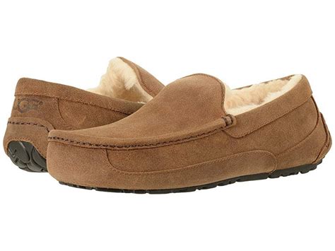 UGG Ascot - WIDE (Chestnut) Men's Slippers. Step into pure comfort with ...