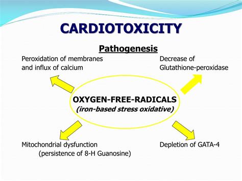 PPT - CARDIAC TOXICITY PowerPoint Presentation, free download - ID:5752270