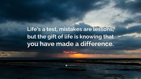 Powerful Quotes About Life Lessons And Mistakes - canvas-goose