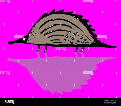 Illustration of funny cartoon armadillo Stock Photo - Alamy