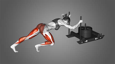 Understanding the Sled Push Workout - The Lifestyle Elf