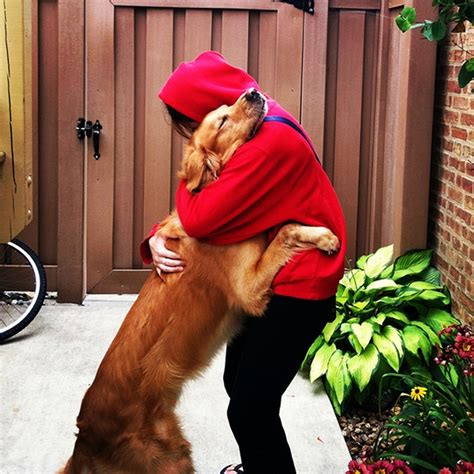 15 Dogs Hugging Their Owners Images To Make You Feel Warm and Fuzzy ...