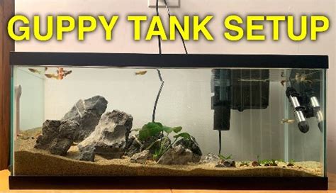 Guppy Tank Setup: A Noobie Guide To Assembling An Aquarium ...