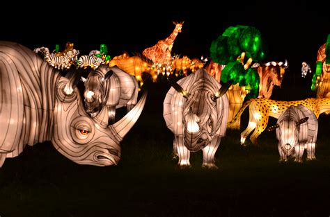 Bronx Zoo Holiday Light Show | Things to do in New York Kids