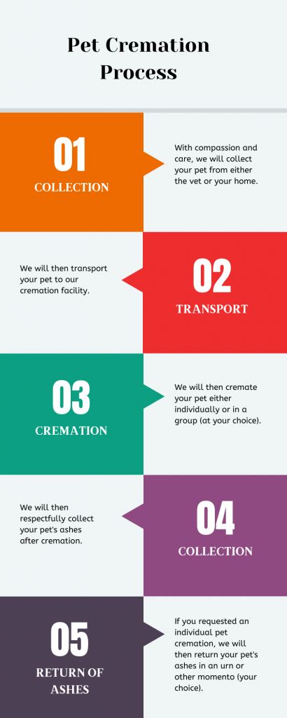 Pet Cremation Melbourne | Dog and Cat Cremation Services