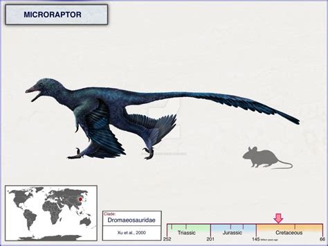 Microraptor by cisiopurple on DeviantArt