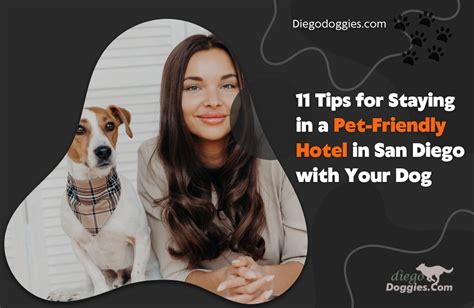 11 Tips for Staying in a Pet-Friendly Hotel in San Diego