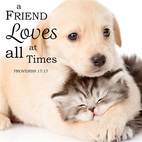 Best Bible Verses about Friendship – Bible Verses To Go