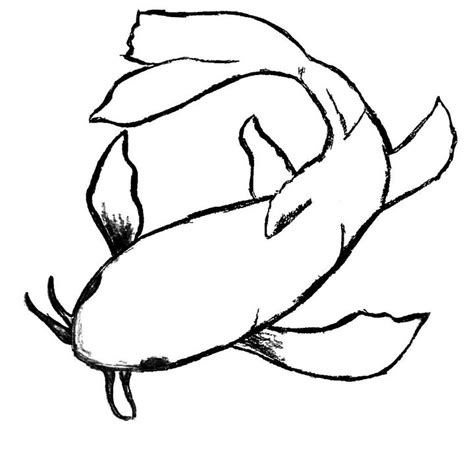 Koi Fish Outline