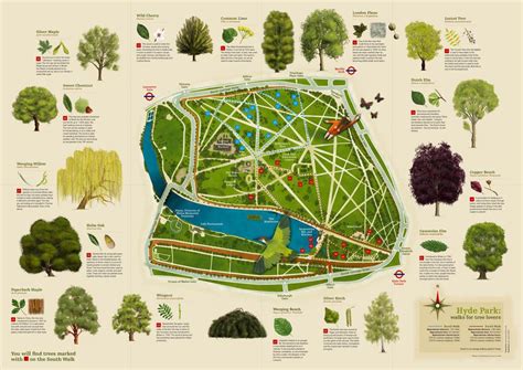 Tree map, Hyde park, Illustrated map