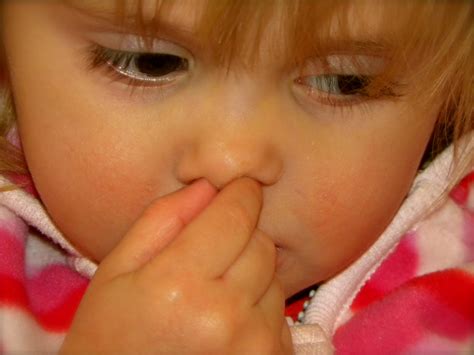 Little Stay at Home Momma: How to Get your Kid to Stop Picking their Nose