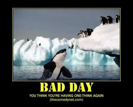 Funny Quotes About Having A Bad Day. QuotesGram