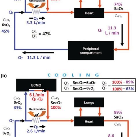 Iso‐shunt diagram, illustrating the relationship between PaO2 and FiO2 ...