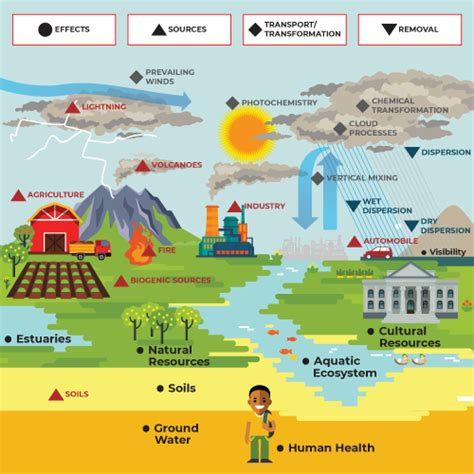 💐 Sources of soil contamination. What is an example of source ...