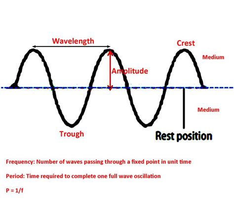 What Is Transverse Wave | Images and Photos finder