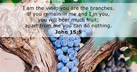 February 7, 2024 - Bible verse of the day - John 15:5 - DailyVerses.net