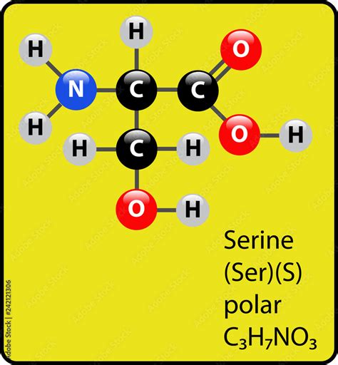 Serine Amino Acid Molecule Ball and Stick Structure Stock Vector ...