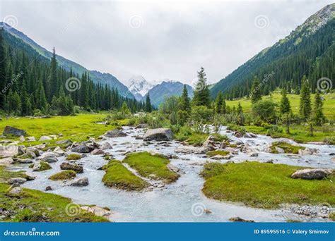 Mountain Landscape with a Turbulent River, Kyrgyzstan. Stock Photo ...