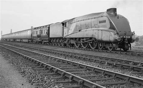 How Sir Nigel Gresley's Mallard powered her way to speed record | YorkMix