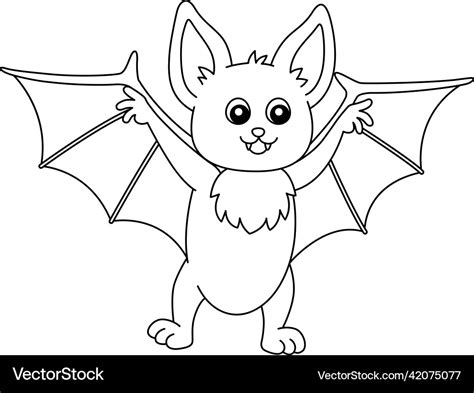 Bat animal cute Collection of cute bat photos and videos