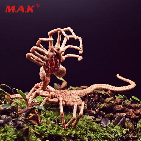 Aliexpress.com : Buy 1/6 scale Alien Predator Chestburster Facehugger ...