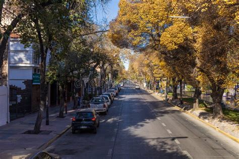 View of the Streets of the City of Mendoza. Argentina Editorial Photo ...