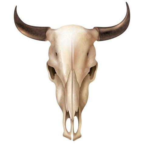 Realistic Cow Skull 480516 Vector Art at Vecteezy