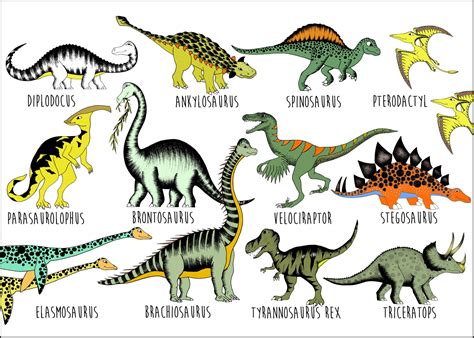 Poster - Dinosaur Name Chart – Dino Raw