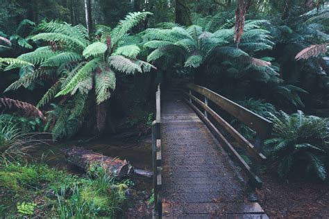 Beauchamp Falls Ottawa National Park | WhatsBest Australia