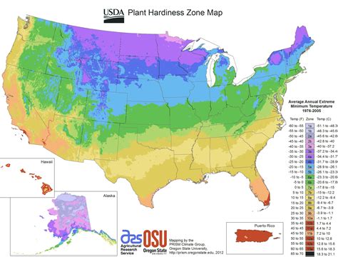 Carte des USA (Etats-Unis) - Cartes du relief, villes, administratives ...