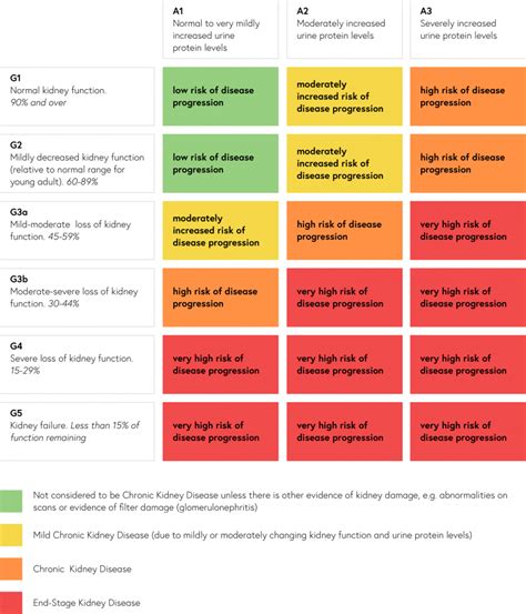 Stages of kidney disease - Kidney Research UK