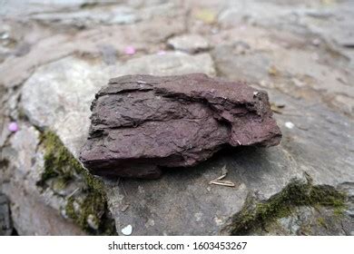 Shale Sedimentary Rock Shale Laminated Fissile Stock Photo 1603453267 ...