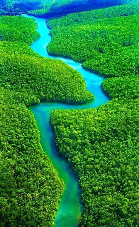 ONE DAY IN THE AMAZON RIVER BASIN - Our World Stuff