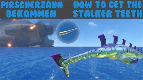 [DE|ENG] Subnautica - How to get the Stalker Teeth | Pirscherzahn ...