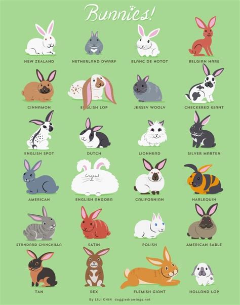 BUNNIES Art Print by DoggieDrawings | Society6 | Rabbit breeds, Pet ...