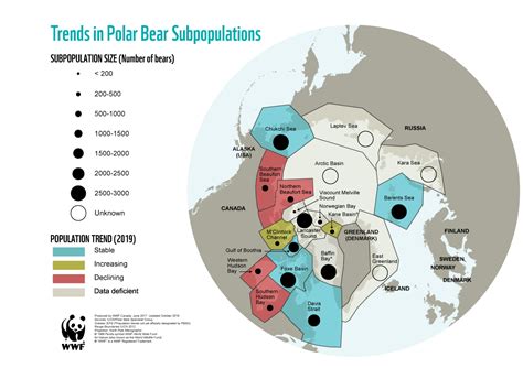 Polar bear population - WWF Arctic