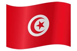 Tunisia flag icon - Country flags