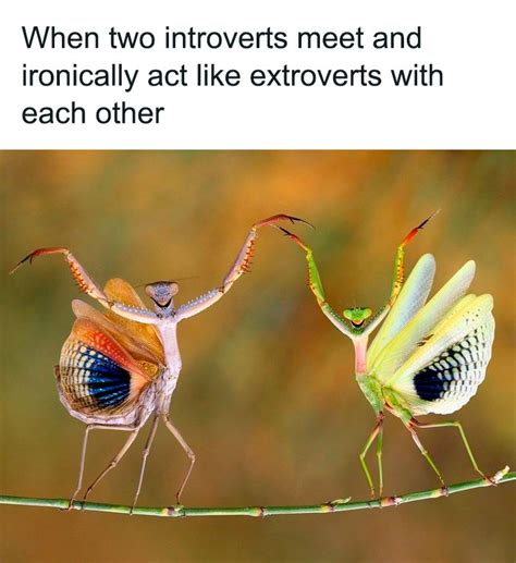 “All About Introverts”: 89 Of The Funniest Introvert Memes - 'Bored ...