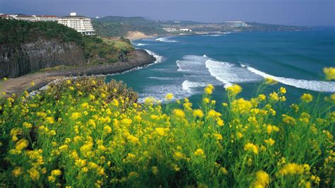 7 Top Attractions in Jeju Island - South Korea, You must Visit ...