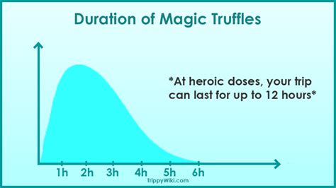 Magic Truffles: Effects, Dosage, How To Take It & More