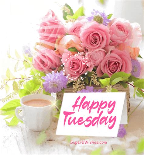 Happy Tuesday GIF With Beautiful Pink Roses | SuperbWishes.com