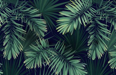 🔥 [50+] Plant Wallpapers | WallpaperSafari