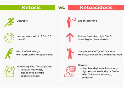 What is Ketosis? Symptoms, Benefits, and Safety – Ketogenic Buddies